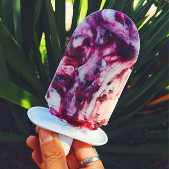 Blackberry & Wild Raspberry Yogurt Pops